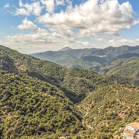 Pet Friendly In With Wifi Holiday home *